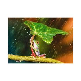 Trefl Green Umbrella 500 Parça Puzzle