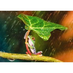 Trefl Green Umbrella 500 Parça Puzzle