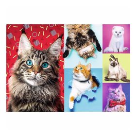 Trefl Happy Cats 1000 Parça Puzzle