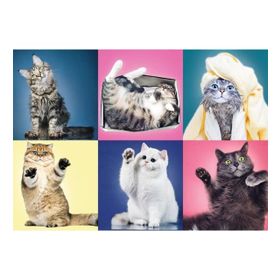 Trefl Kittens 500 Parça Puzzle