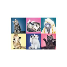 Trefl Kittens 500 Parça Puzzle