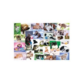 Trefl On The Trail Treflik Family 60 Parça Puzzle