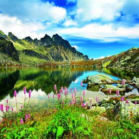 Trefl Starolesnianski Pond Taras Slov 3000 Parça Puzzle