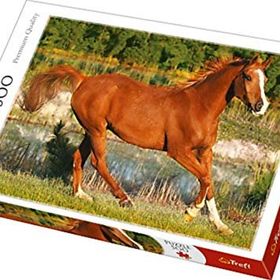 Trefl The Beauty Of Gallop 500 Parça Puzzle
