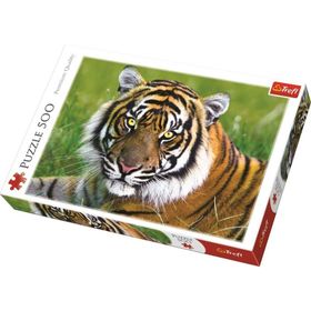 Trefl Tiger 500 Parça Puzzle