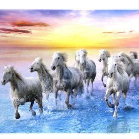 Trefl White Galloping 500 Parça Puzzle