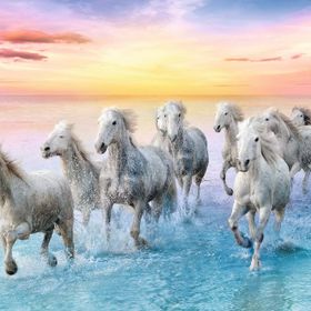 Trefl White Galloping 500 Parça Puzzle