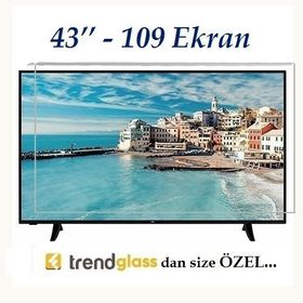 Trendglass Awox 10943ST 43 İnç 109 Ekran LED LCD Tv Ekran Koruyucu Panel