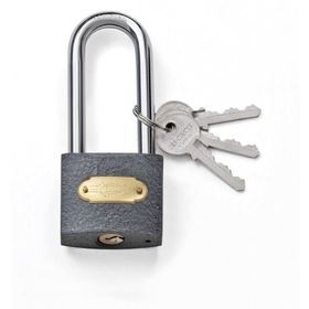 Tri-Crcle Döküm Gri 50 mm Uzun Asma Kilit