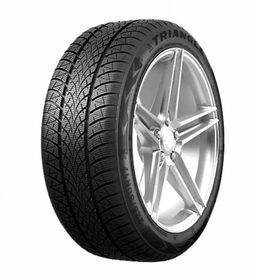 Triangle 195/55 R16 91H XL TW401 Winterx Kış Lastiği