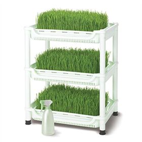 Tribest Sproutman’s Topraksız Buğday Çimi Yetiştiricisi