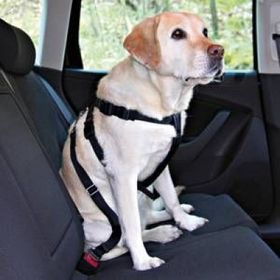 Trixie 1291 50-70 cm Köpek Emniyet Kemeri