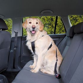 Trixie 1292 70-90 cm Köpek Emniyet Kemeri