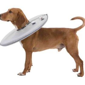 Trixie 19424 38-42 cm 21.5 cm Gri Köpek Yakalığı