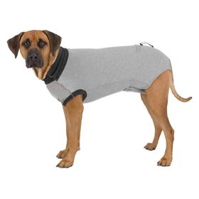 Trixie 19537 55 cm Gri Köpek Vücut Koruyucu Elbise