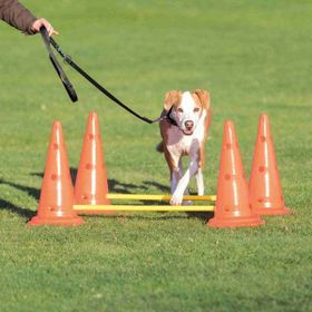 Trixie 2 adet Agility Köpek Eğitim Oyuncağı