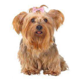 Trixie 2296 4 - 5.5 cm Köpek Saç Tokası