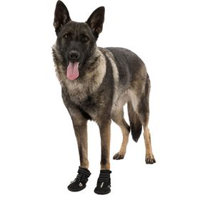 Trixie 2'li Siyah L Köpek Yürüyüş Botu