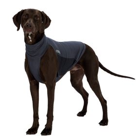 Trixie 30404 Haşere Kovucu Köpek Kıyafeti