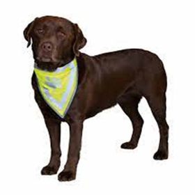 Trixie 42-60 cm Xlarge Köpek Bandanalı Tasma
