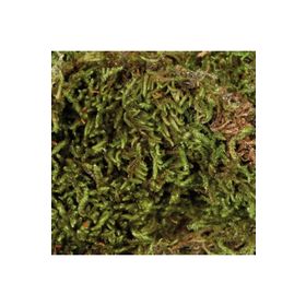 Trixie 76155 200 gr Nem Tutan Teraryum Altlığı