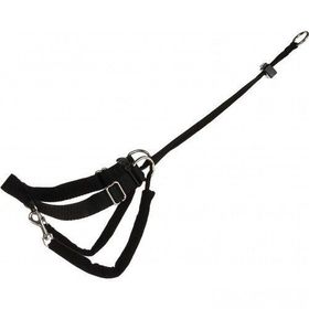 Trixie Easy Walk S 27-36 cm 20 mm Köpek Kolay Yürüme Eğitim Tasması
