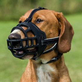 Trixie Esnek Silikon S Köpek Ağızlık