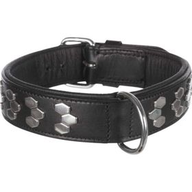 Trixie Gerçek Deri Siyah 45-55 cm 40 mm Köpek Boyun Tasması