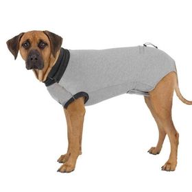 Trixie Gri Xs-S 30 cm Köpek Vücut Koruyucu Elbise