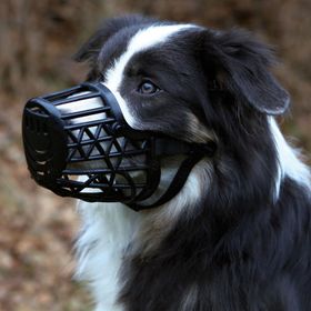 Trixie Large 26 cm Siyah Köpek Ağızlık