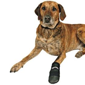 Trixie Neopren 2 Adet L Siyah Köpek Patiği