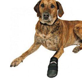 Trixie Neopren XL Siyah 2 Adet Köpek Patiği