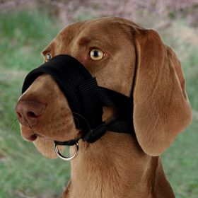 Trixie Rottweiler XL Boy 23x34 cm Köpek Ağızlık
