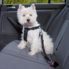 Trixie S 30-60 cm Köpek Emniyet Kemeri