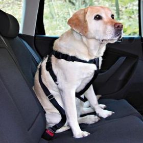 Trixie S 30-60 cm Köpek Emniyet Kemeri