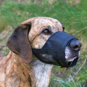 Trixie S-M 14-20 cm Fileli Köpek Ağızlık