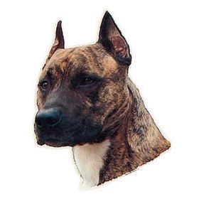 Trixie ST-Stafford Terrier 1 Adet Köpek Çıkartması