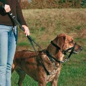 Trixie Top Trainer S 22 cm Köpek Eğitim Tasması