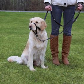 Trixie Top Trainer S 22 cm Köpek Eğitim Tasması