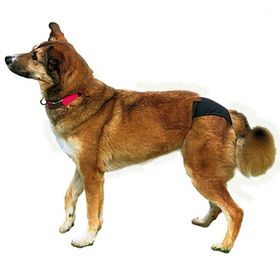 Trixie XL 60-70 cm Siyah Hijyenik Köpek Külodu