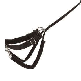Trixie XL55-80cm 25mm Köpek Yürüme Eğitim Tasması