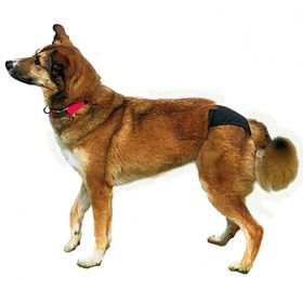 Trixie XS 20-25 cm Siyah Hijyenik Köpek Külodu