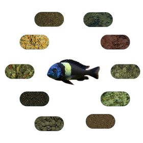 Tropheus Duboisi Maswa 7 Çeşit 50 gr Özel Yem Paketi