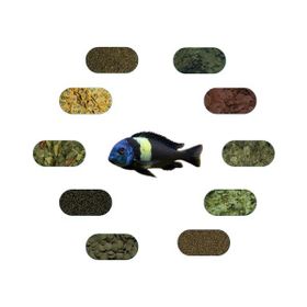 Tropheus Duboisi Maswa 7 Çeşit 50 gr Özel Yem Paketi