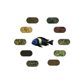Tropheus Duboisi Maswa 7 Çeşit 50 gr Özel Yem Paketi