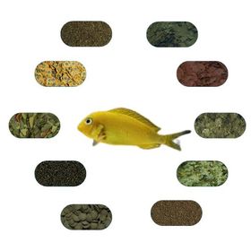 Tropheus Kriza Gold 6 Çeşit 50 gr Özel Yem Paketi