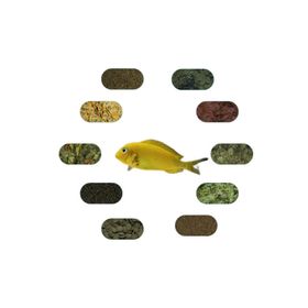 Tropheus Kriza Gold 6 Çeşit 50 gr Özel Yem Paketi