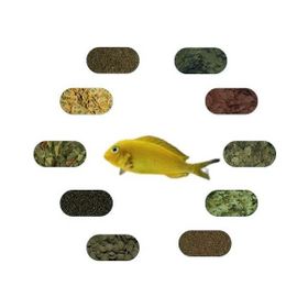 Tropheus Kriza Gold 6 Çeşit 50 gr Özel Yem Paketi