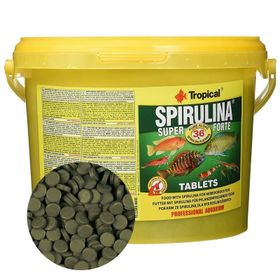 Tropical 250 Adet Super Spirulina Forte Tablet Balık Yemi