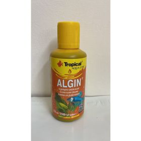 Tropical Algin 250 ml Yosun Önleyici